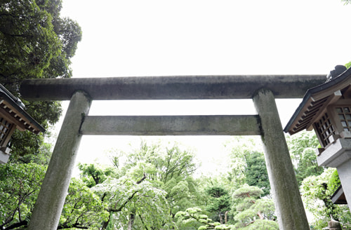 東京の神社