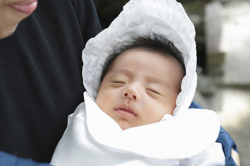寒川神社の撮影スポット 神池