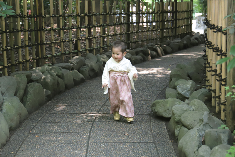 寒川神社の撮影スポット 神池