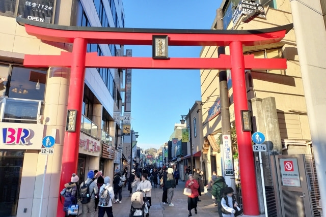 鶴岡八幡宮へ参拝