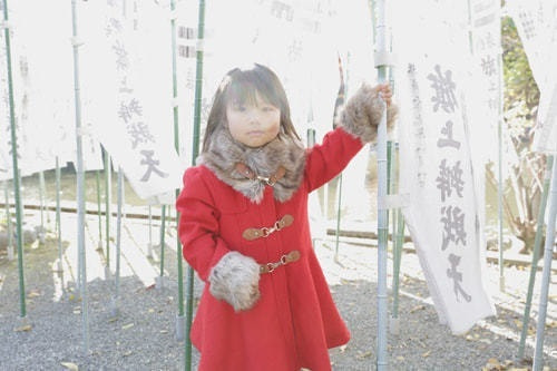 鶴岡八幡宮撮影スポット 太鼓橋