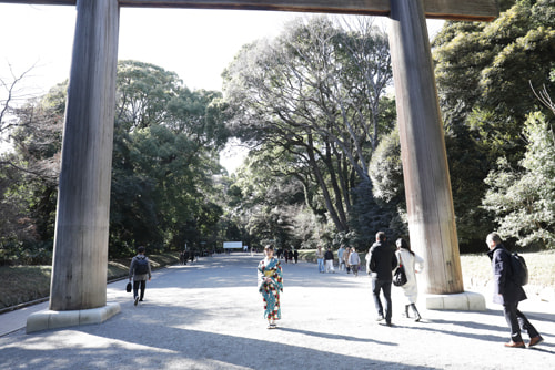 明治神宮撮影スポット 大鳥居