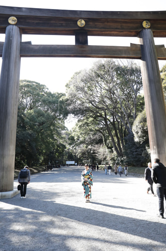 明治神宮撮影スポット 大鳥居