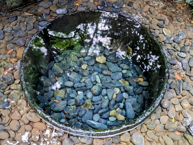 明治神宮撮影スポット 明治神宮御苑