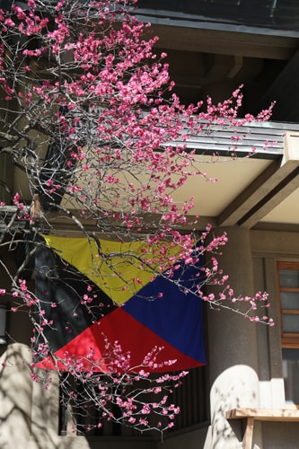 東郷神社の撮影スポット 社殿
