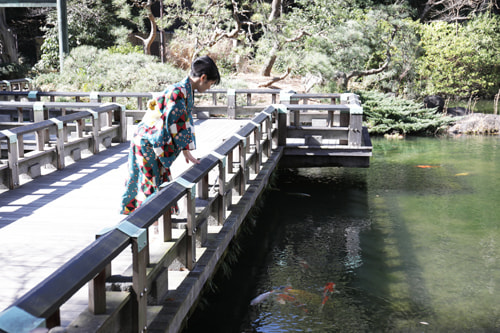 東郷神社の撮影スポット 西参道の階段