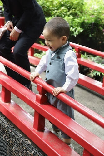 世田谷八幡宮の撮影スポット 厳島神社