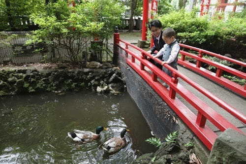 世田谷八幡宮の撮影スポット 厳島神社