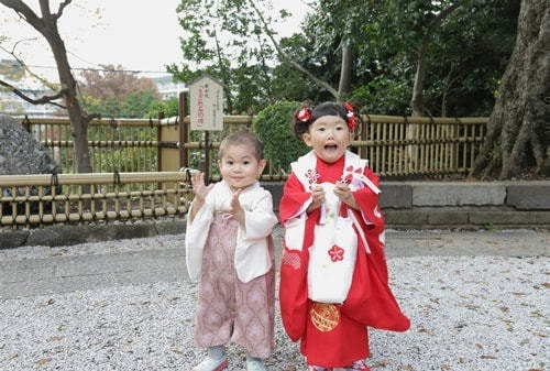 師岡熊野神社の撮影スポット さざれ石